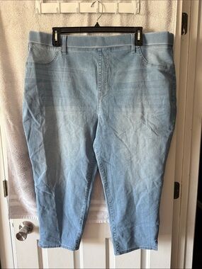 Terra & Sky Light Blue Women’s Stretch Denim Jeggings